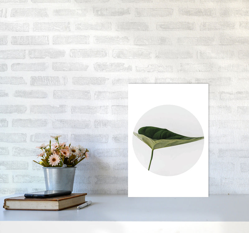 Doc Leaf Modern Print, Framed Botanical & Nature Art Print A3 Black Frame