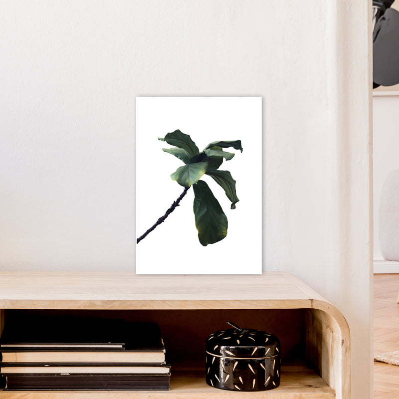 Plant Head Part Two  Art Print by Pixy Paper A3 Black Frame