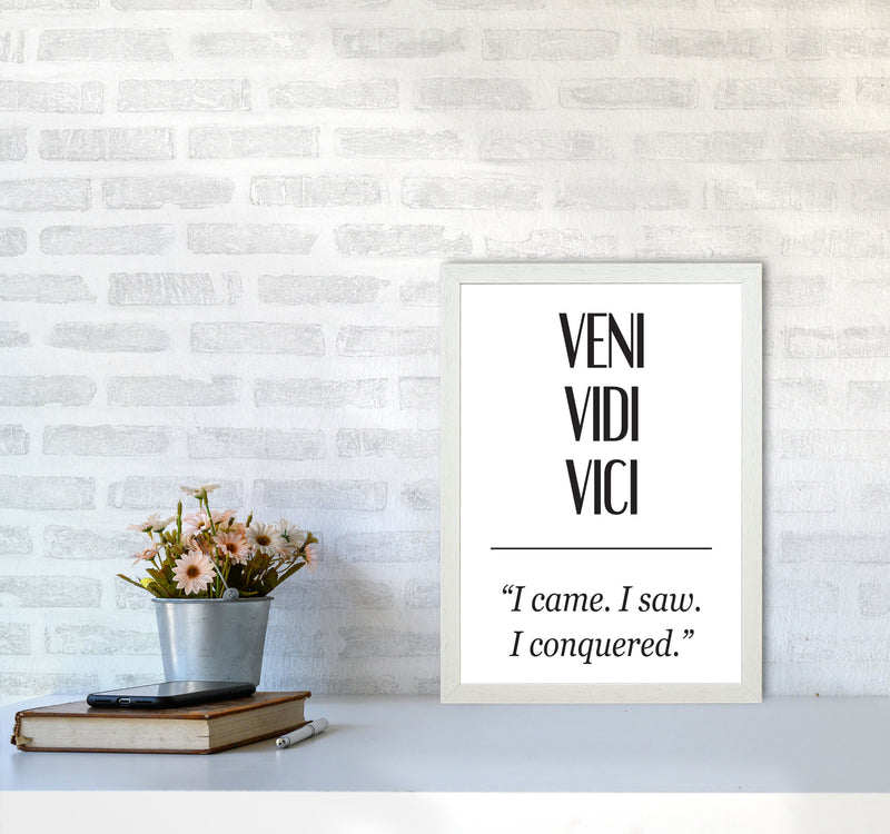 Veni Vidi Vici Modern Print A3 Oak Frame