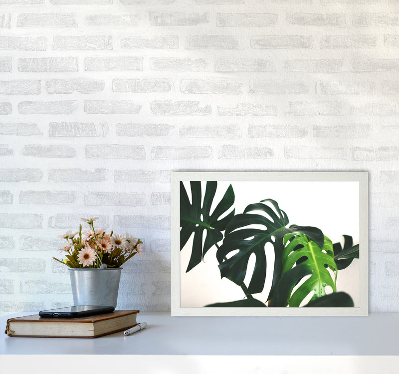 Monstera Leaf Landscape Modern Print, Framed Botanical & Nature Art Print A3 Oak Frame