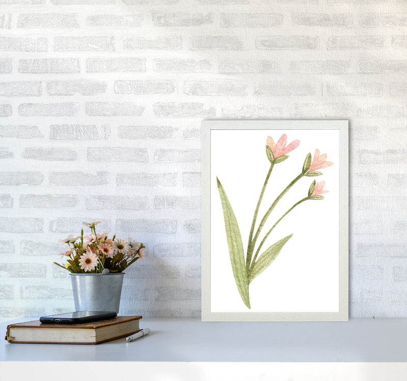 Pink Watercolour Flower 1 Modern Print A3 Oak Frame