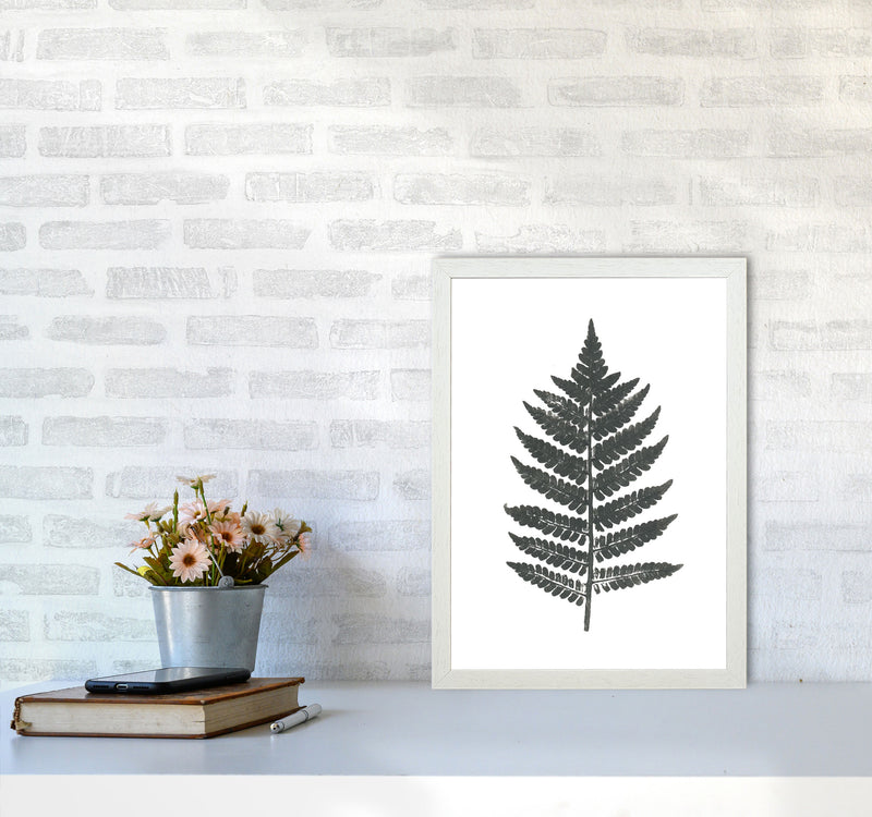 Vintage Fern Modern Print, Framed Botanical & Nature Art Print A3 Oak Frame