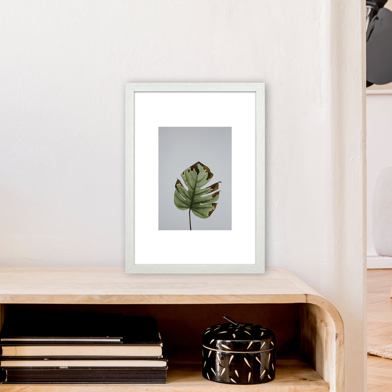 Old Leaf Grey Box  Art Print by Pixy Paper A3 Oak Frame