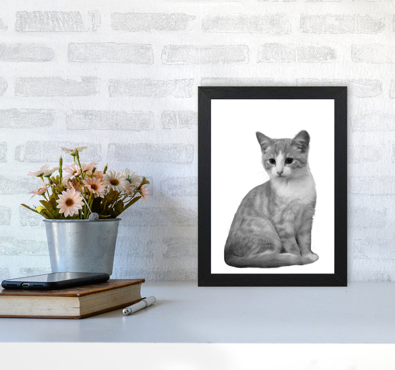 Black And White Cat Modern Print Animal Art Print A4 White Frame