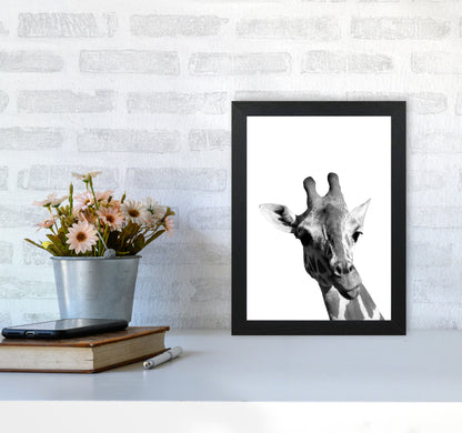 Black And White Giraffe Modern Print Animal Art Print A4 White Frame