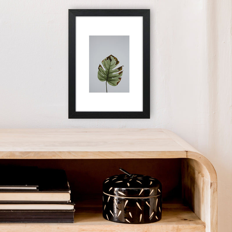 Old Leaf Grey Box  Art Print by Pixy Paper A4 White Frame