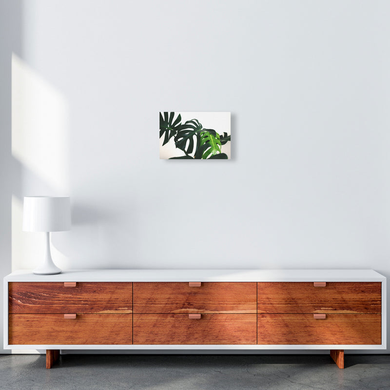 Monstera Leaf Landscape Modern Print, Framed Botanical & Nature Art Print A4 Canvas