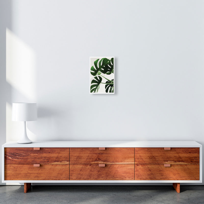 Monstera Leaf Modern Print, Framed Botanical & Nature Art Print A4 Canvas