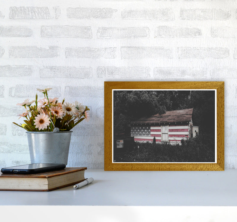 USA Hut Modern Print A4 Print Only