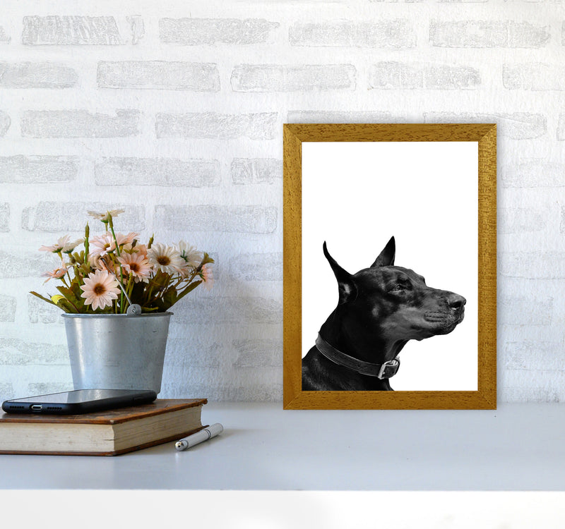 Black And White Dog Modern Print Animal Art Print A4 Print Only