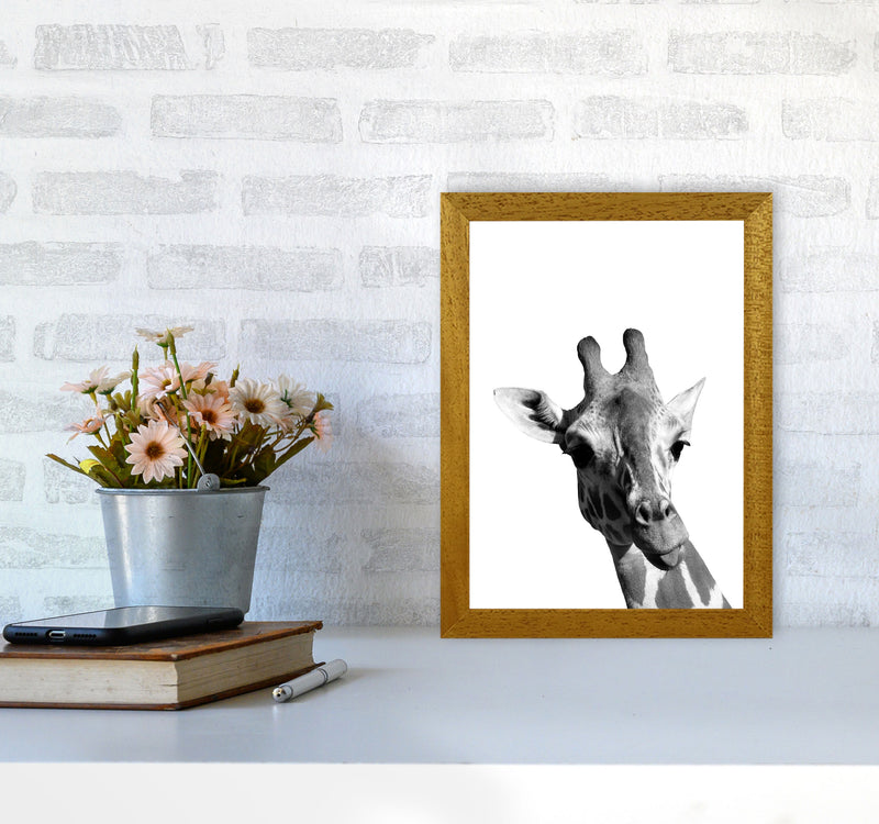 Black And White Giraffe Modern Print Animal Art Print A4 Print Only