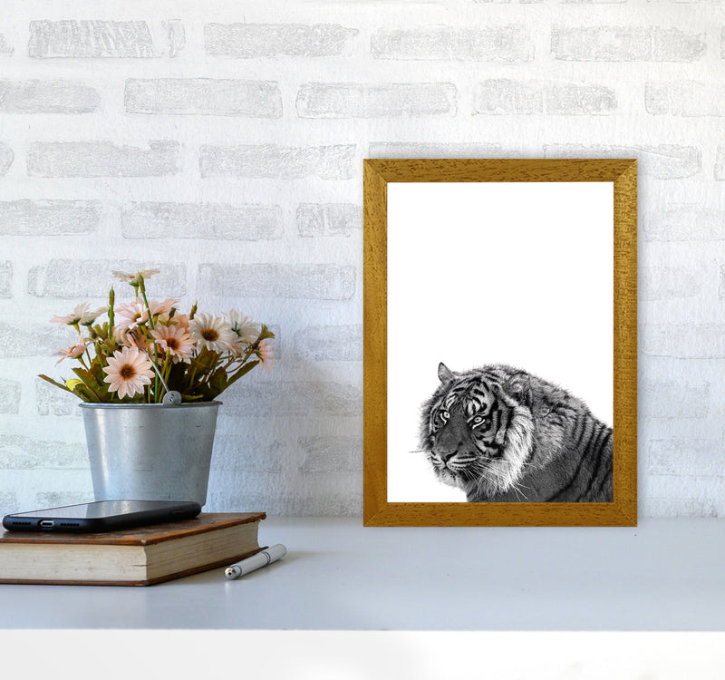 Black And White Tiger Modern Print Animal Art Print A4 Print Only