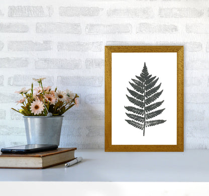 Vintage Fern Modern Print, Framed Botanical & Nature Art Print A4 Print Only