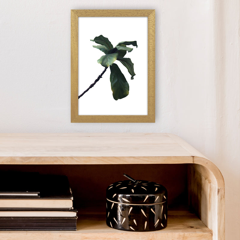 Plant Head Part Two  Art Print by Pixy Paper A4 Print Only