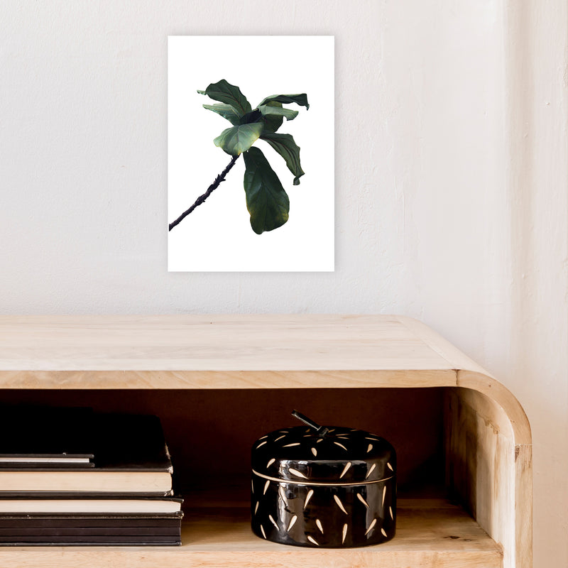 Plant Head Part Two  Art Print by Pixy Paper A4 Black Frame