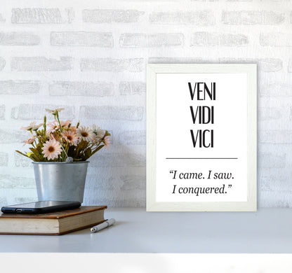Veni Vidi Vici Modern Print A4 Oak Frame