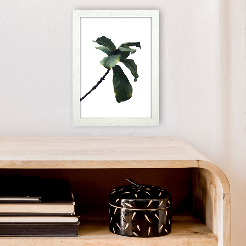 Plant Head Part Two  Art Print by Pixy Paper A4 Oak Frame