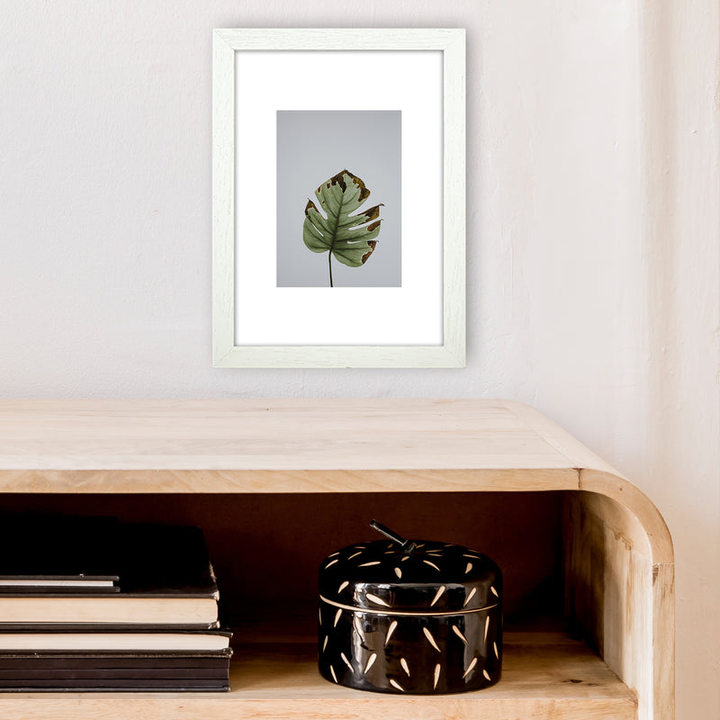 Old Leaf Grey Box  Art Print by Pixy Paper A4 Oak Frame