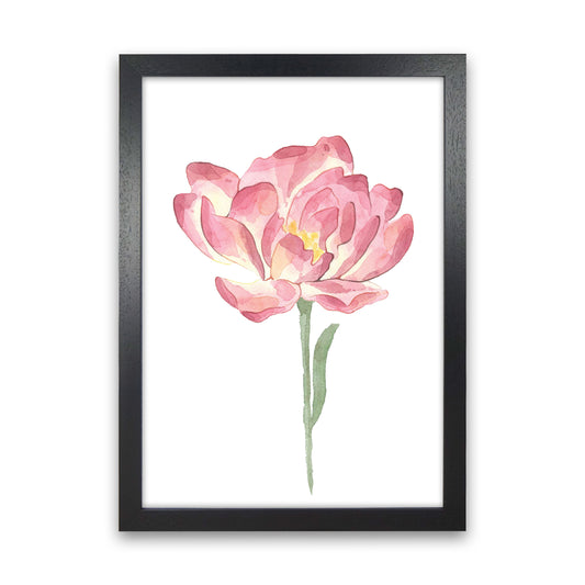 Pink Watercolour Flower Modern Print Black Grain
