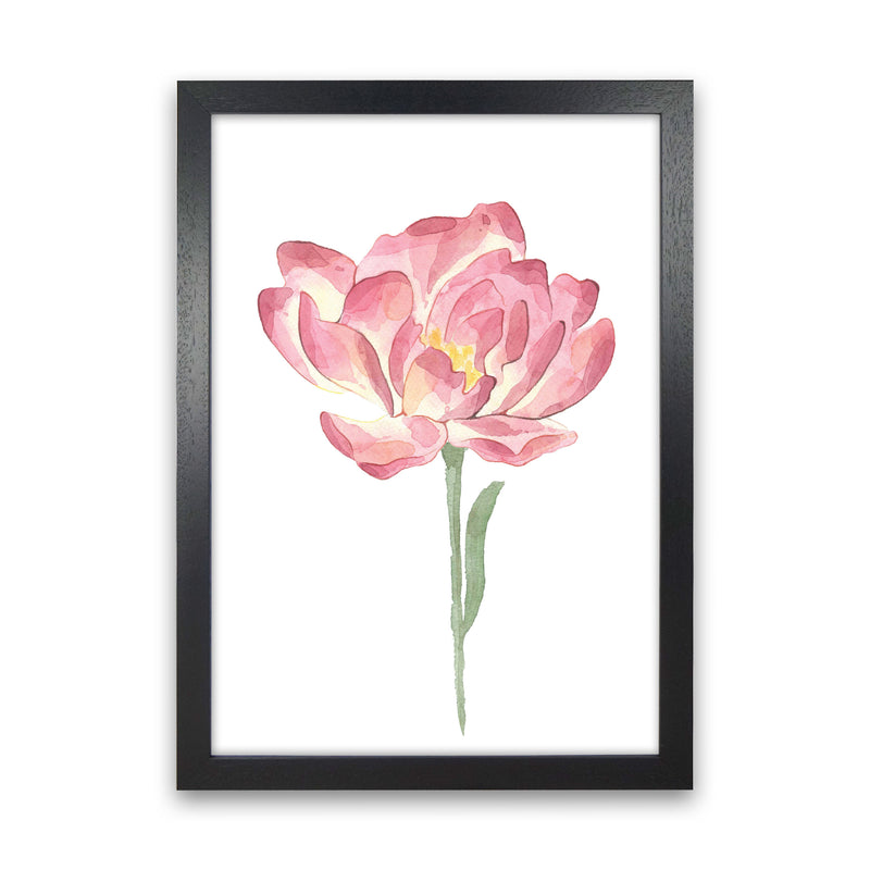 Pink Watercolour Flower Modern Print Black Grain