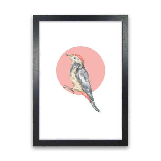 Watercolour Bird With Red Circle Modern Print Animal Art Print Black Grain