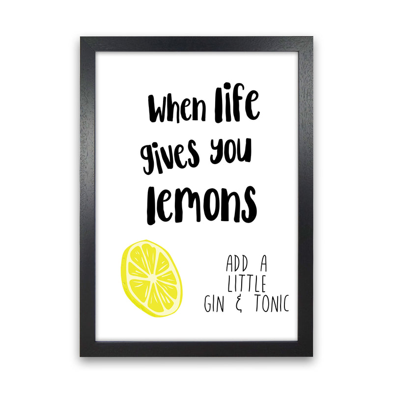 Humorous Gin Sayings Multi Set Kitchen Typography Wall Art Black Grain