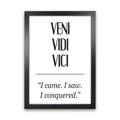 Veni Vidi Vici Modern Print Black Grain