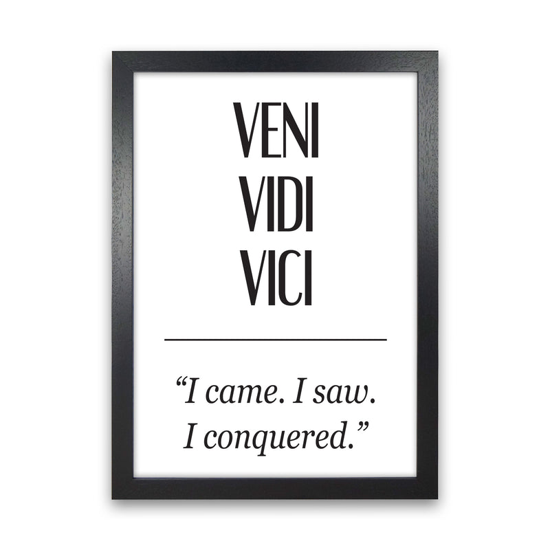 Veni Vidi Vici Modern Print Black Grain