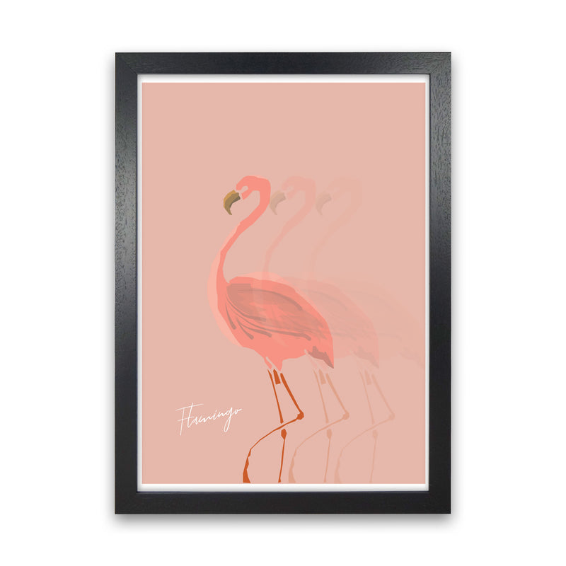 Flamingo Shadow Modern Print Animal Art Print Black Grain