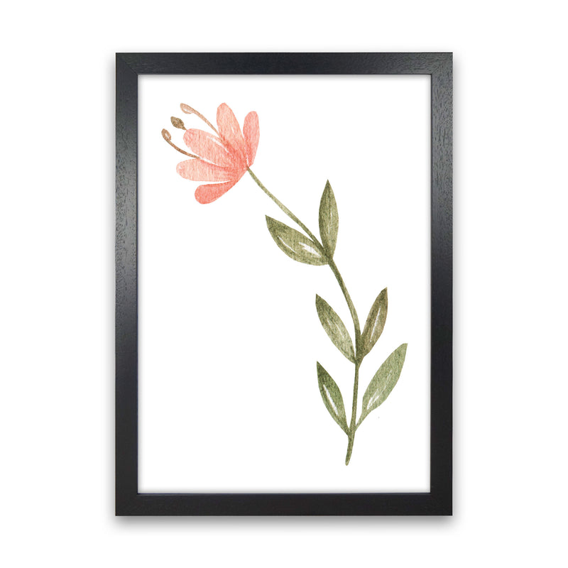 Pink Watercolour Flower 2 Modern Print Black Grain