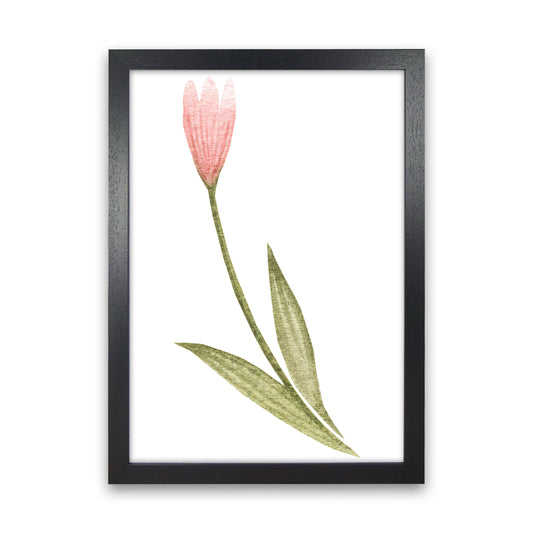 Pink Watercolour Flower 3 Modern Print Black Grain