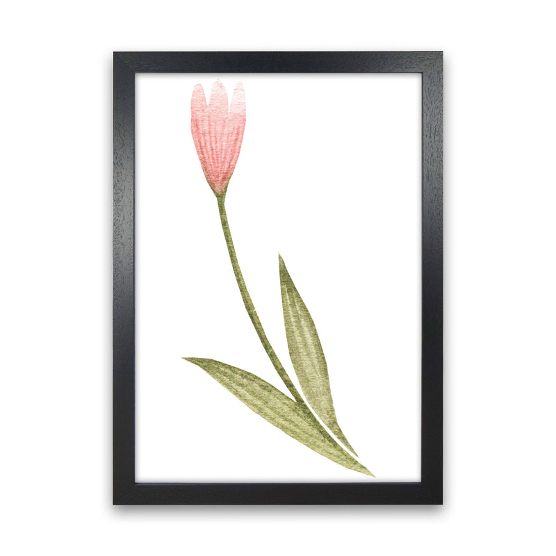 Pink Watercolour Flower 3 Modern Print Black Grain