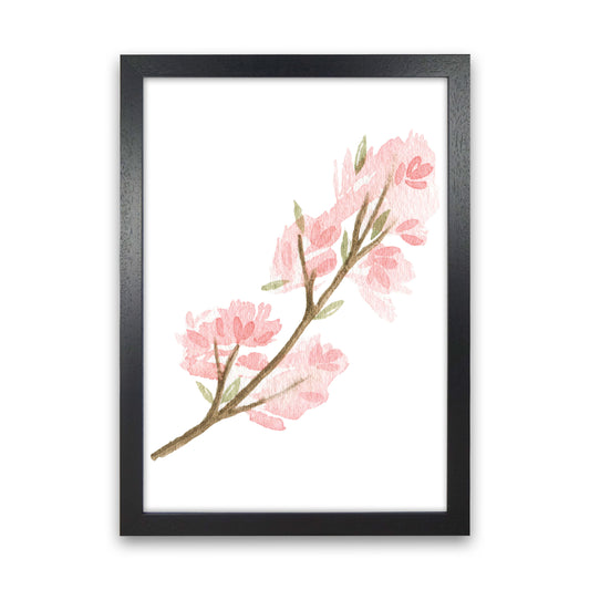 Pink Watercolour Flower 4 Modern Print Black Grain