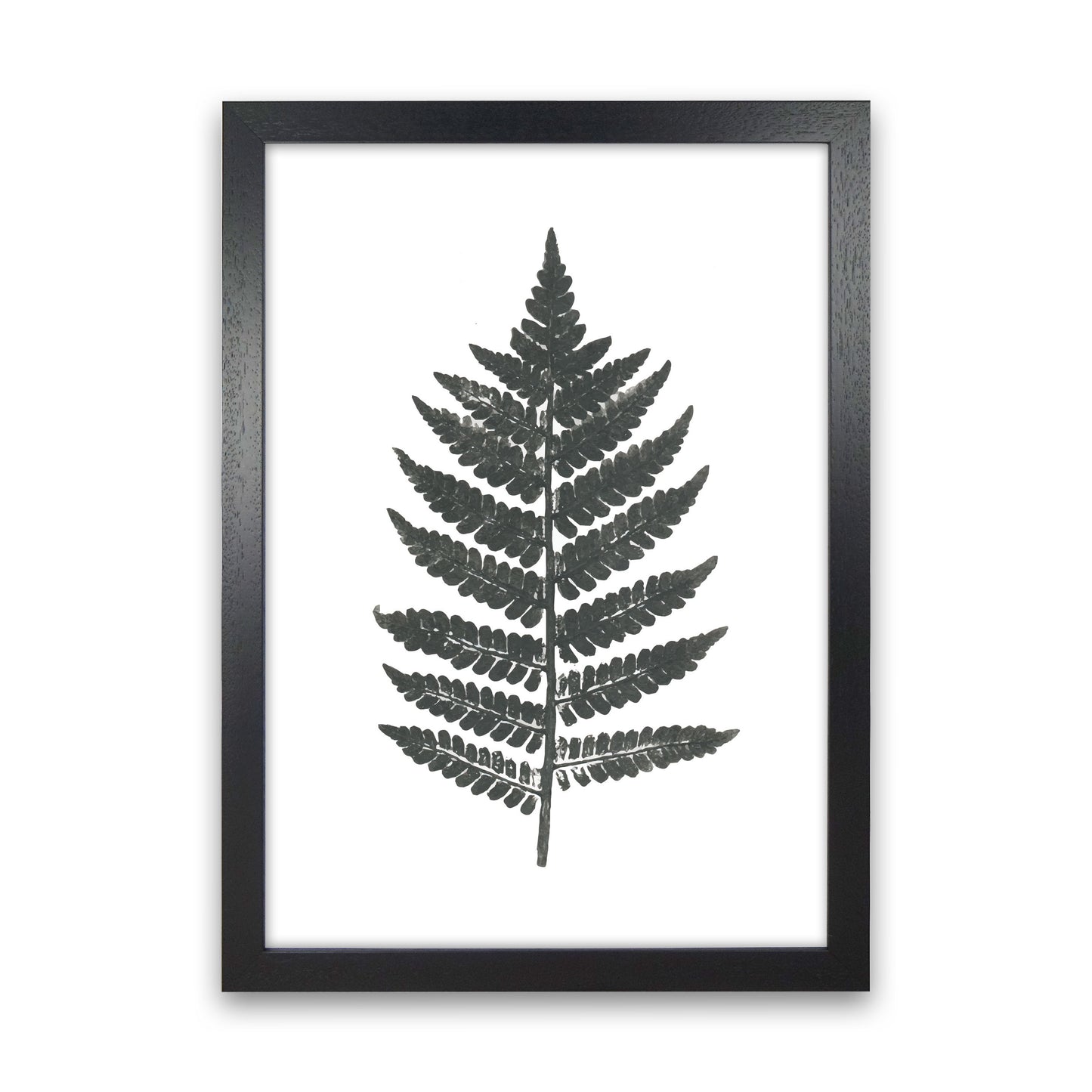 Vintage Fern Modern Print, Framed Botanical & Nature Art Print Black Grain