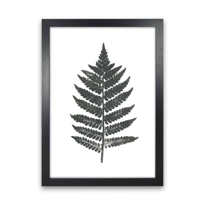 Vintage Fern Modern Print, Framed Botanical & Nature Art Print Black Grain