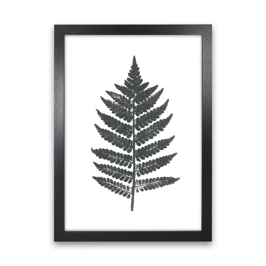 Vintage Fern Modern Print, Framed Botanical & Nature Art Print Black Grain