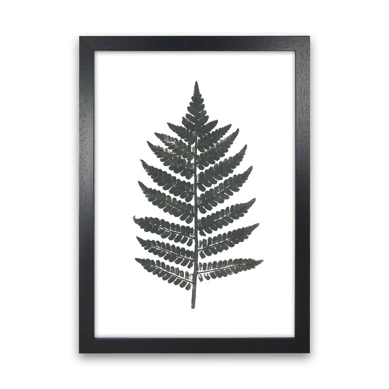 Vintage Fern Modern Print, Framed Botanical & Nature Art Print Black Grain