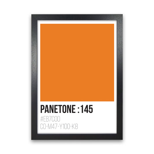Panetone Colours 145 Modern Print Black Grain