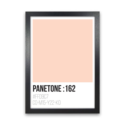Panetone Colours 162 Modern Print Black Grain