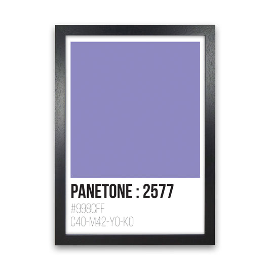 Panetone Colours 2577 Modern Print Black Grain