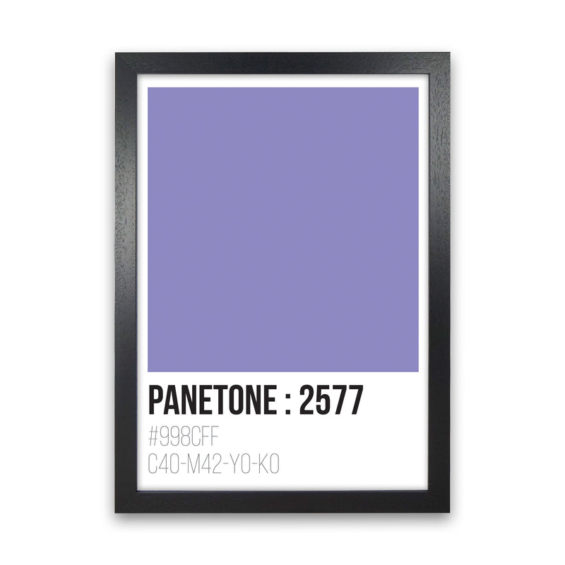 Panetone Colours 2577 Modern Print Black Grain