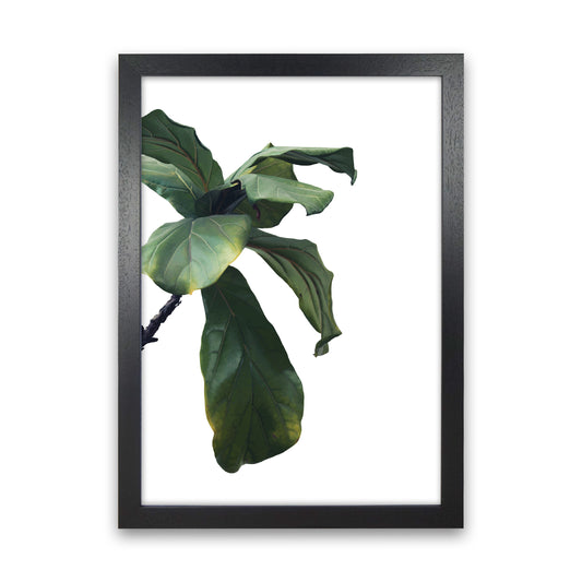 Plant Head Part One  Art Print by Pixy Paper Black Grain