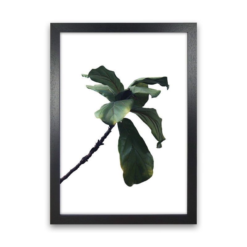 Plant Head Part Two  Art Print by Pixy Paper Black Grain