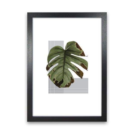 Green Leaf Grey  Art Print by Pixy Paper Black Grain