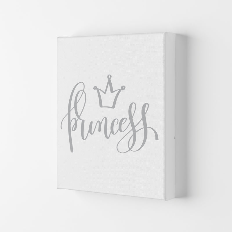 Princess Grey Framed Nursey Wall Art Print Canvas