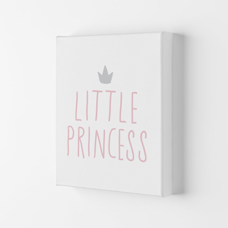 Little Princess Pink And Grey Framed Nursey Wall Art Print Canvas