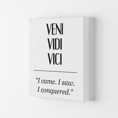 Veni Vidi Vici Modern Print Canvas