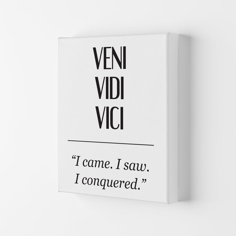Veni Vidi Vici Modern Print Canvas