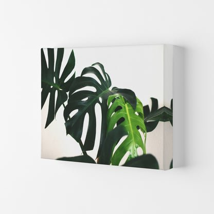 Monstera Leaf Landscape Modern Print, Framed Botanical & Nature Art Print Canvas