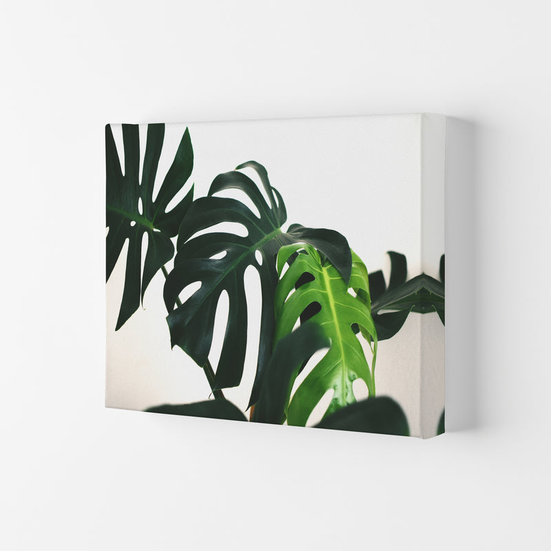 Monstera Leaf Landscape Modern Print, Framed Botanical & Nature Art Print Canvas